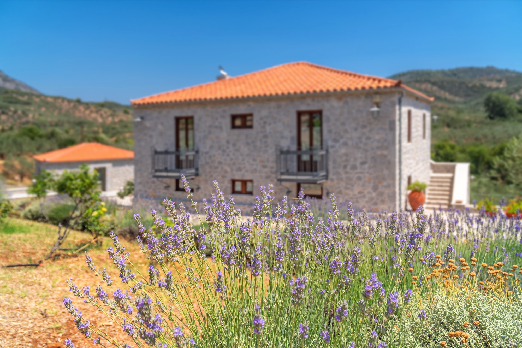 Lavanda e Pietra